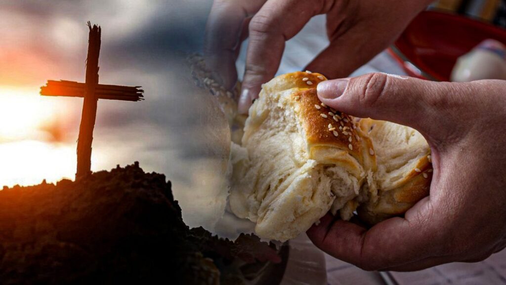 Sorti bozicni post DZ 1110x625 1