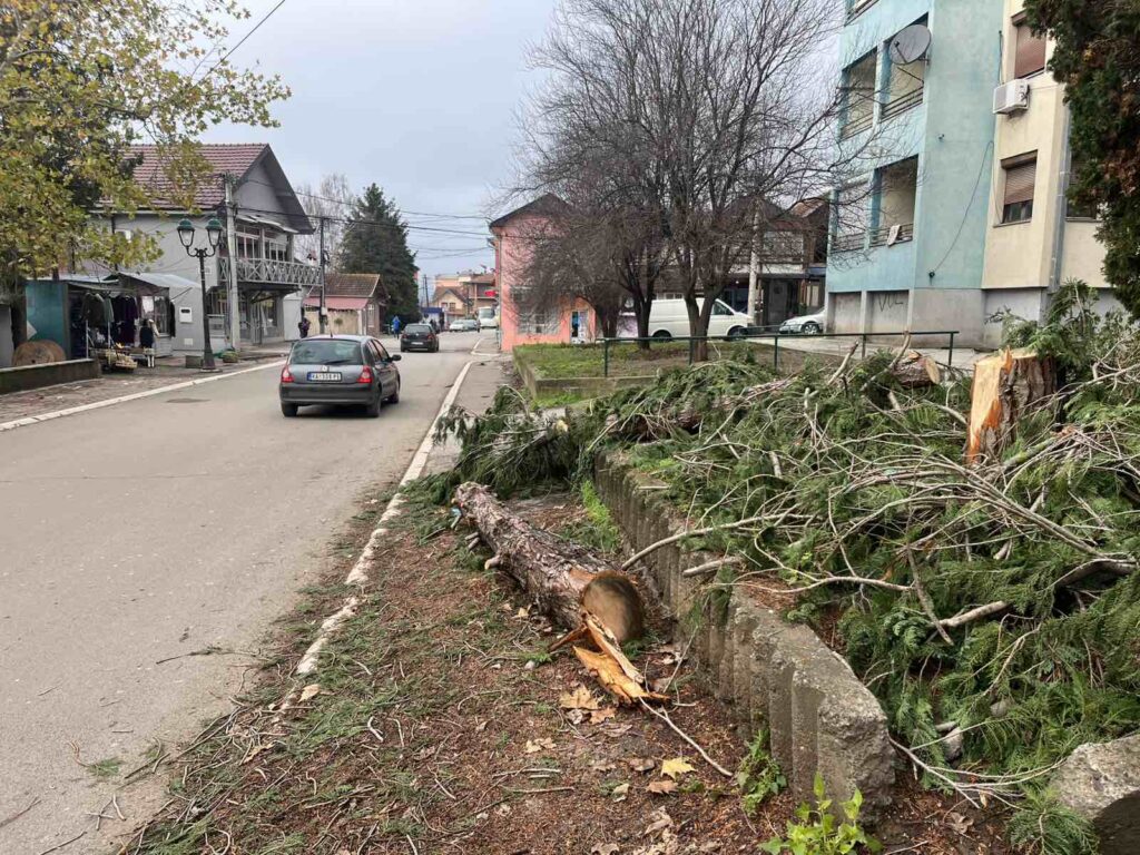 viber image 2025 12 02 13 36 21 242