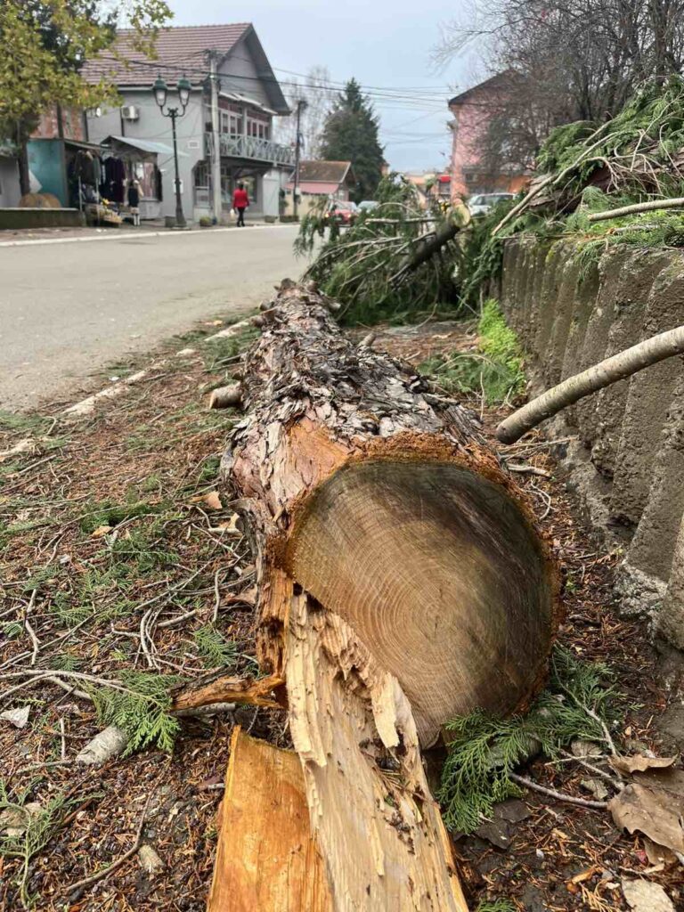 viber image 2025 12 02 13 36 21 841